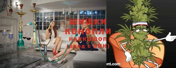 прущие крисы Белокуриха