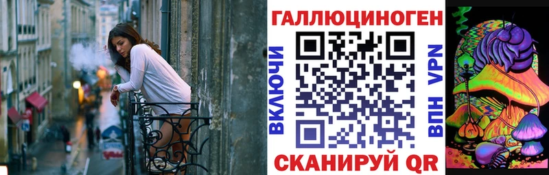 Псилоцибиновые грибы Psilocybe  Верхняя Тура 